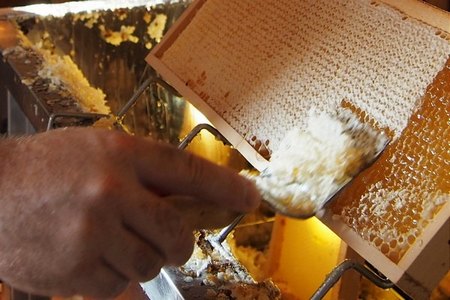 Odvíčkování lipový med
