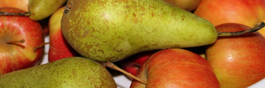 Oblíbené odrůdy jabloní, hrušní a třešní